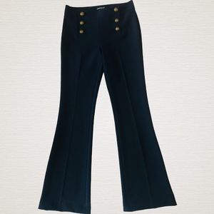 Express Double Breasted Pants